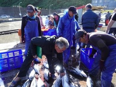民眾爭搶魚貨的狀況-1