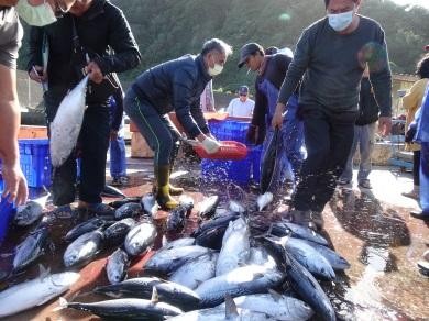 民眾爭搶魚貨的狀況-2