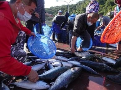民眾爭搶魚貨的狀況-3